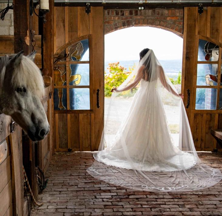 Photo of the model wearing Equestrian Lambs Hill veil