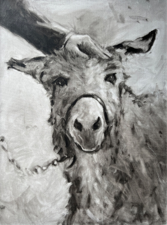 Lambs Hill Home Mini Donkey Portrait #0 default Black/White thumbnail