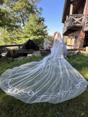 Lambs Hill Veils Equestrian Veil #2 Ivory thumbnail